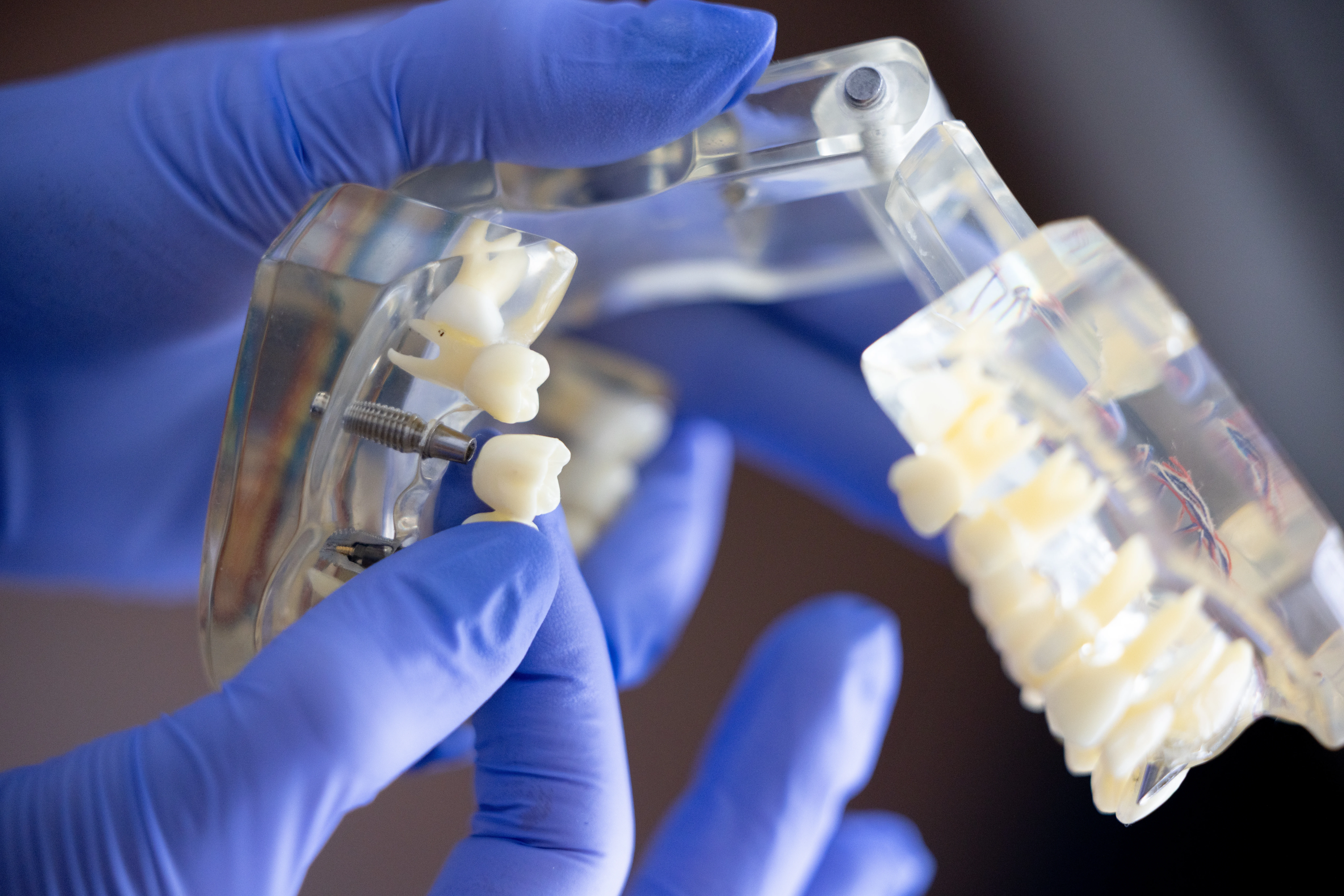 Comprehensive dental care at Eagle Lake Family Dental